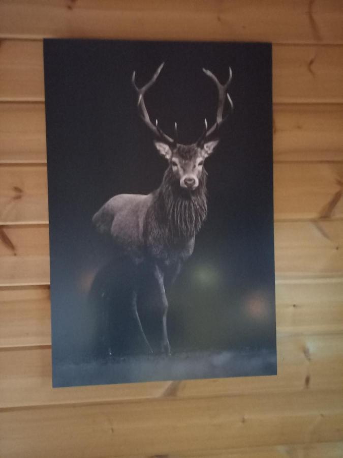 Onder De Eik Villa Ermelo Luaran gambar