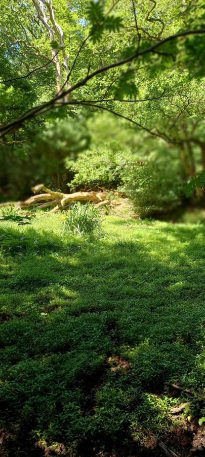 Onder De Eik Villa Ermelo Luaran gambar