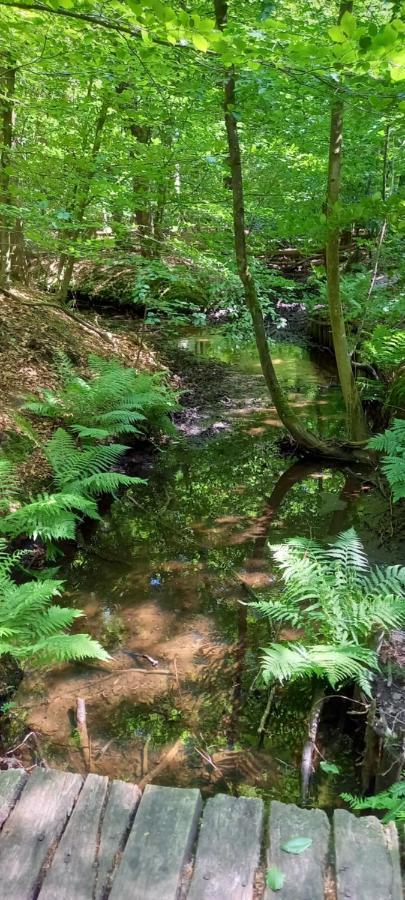 Onder De Eik Villa Ermelo Luaran gambar