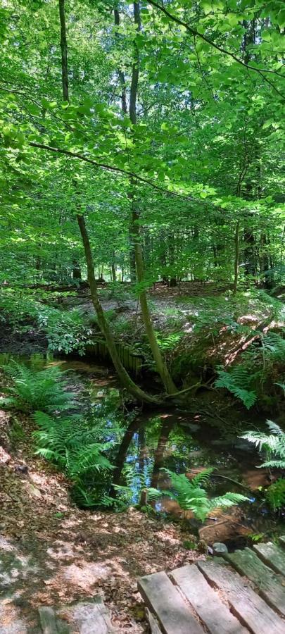 Onder De Eik Villa Ermelo Luaran gambar