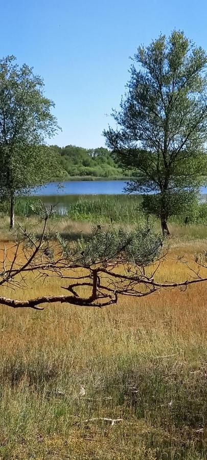 Onder De Eik Villa Ermelo Luaran gambar